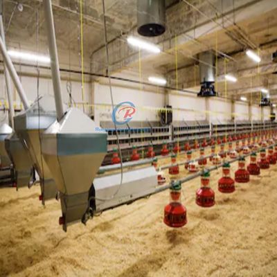 Struktur Baja Prefab Rumah Unggas Frame Baja Disesuaikan Coop Ayam
