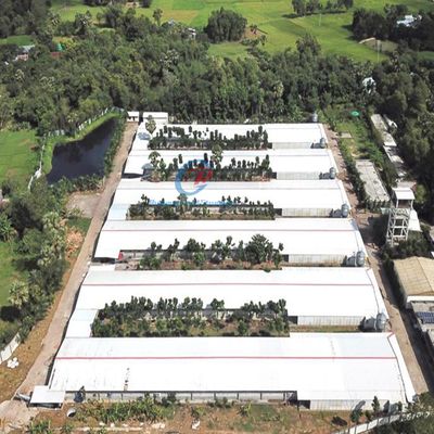 Struktur baja galvanis Rumah unggas Bangunan Peternakan Ayam Coop Steel Frame Prefab
