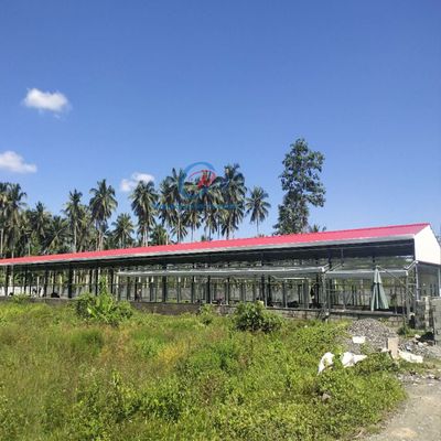 Bangunan Baja Berkualitas Tinggi dan hemat energi untuk Kambing / Domba