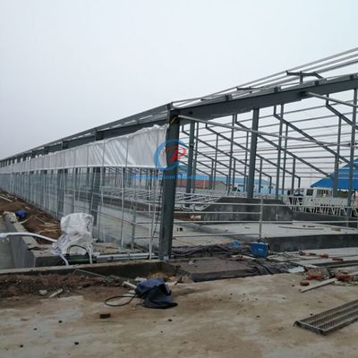 Struktur Baja Prefabrikasi Sarang Sapi Sarang Kerangka Baja Disesuaikan