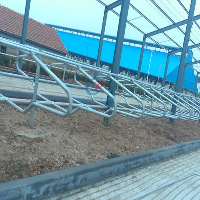 Struktur Baja Modern Gudang Sapi Bangunan Pertanian Kerangka Baja Berkelanjutan